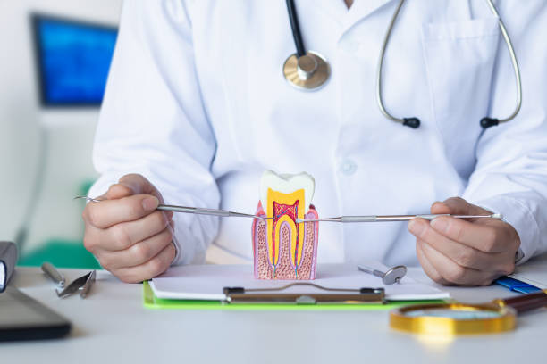 Best Emergency Treatment for Dental Infections or Abscesses in Divernon, IL